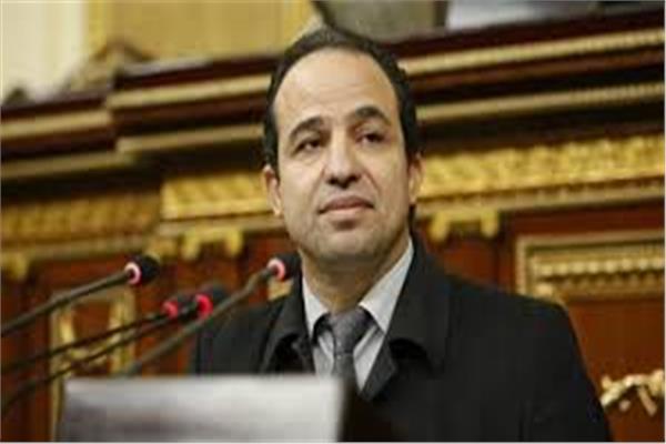 النائب محمد إسماعيل عضو مجلس النواب