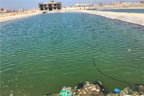 صورة موضوعية