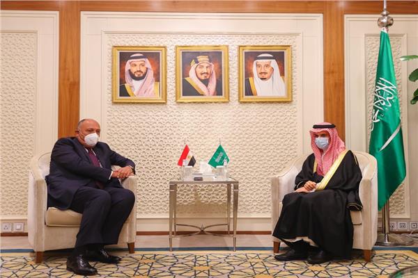  مصر و السعودية تؤكدان على ضرورة الحفاظ على استقرار ليبيا 