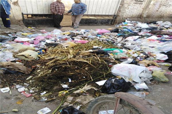 جبال القمامة تغلق ابواب مدارس اليوسفي والتحرير بالمنيا 