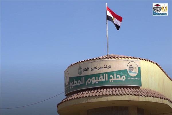  محلج الفيوم المطور