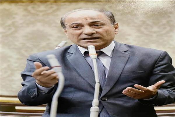  النائب فوزى إسماعيل