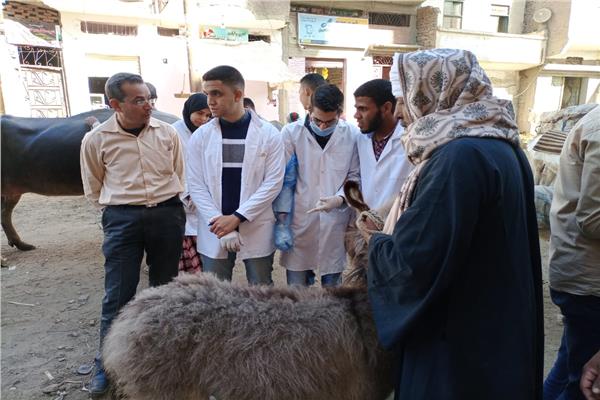 جامعة سوهاج تطلق قوافلها البيطرية