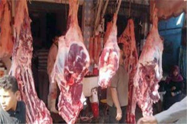 لحوم غير صالحة للاستهلاك الآدمي بالمنيا