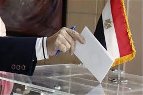 فوز وحيد فودة بدائرة المنصورة