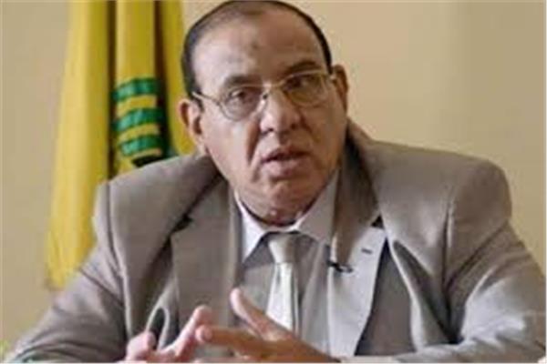 طلعت عبد القوي رئيس الاتحاد العام للجمعيات والمؤسسات الأهلية 