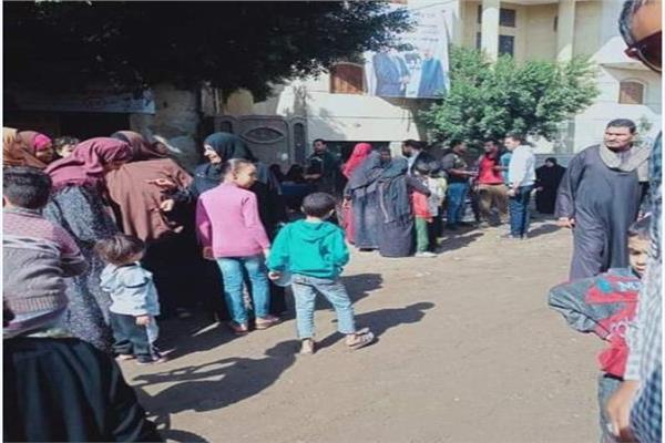 انتخابات الإعادة بالقليوبية