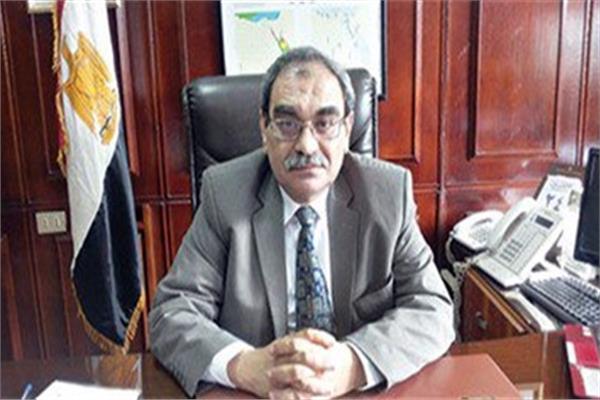 الدكتور محمد السبكي رئيس هيئة الطاقة الجديدة 