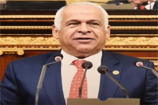 المهندس محمد فرج عامر