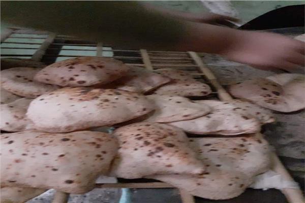 صورة من الحملة