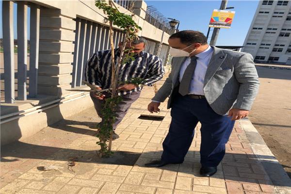 الدكتور عبيد صالح رئيس جامعة دمنهور
