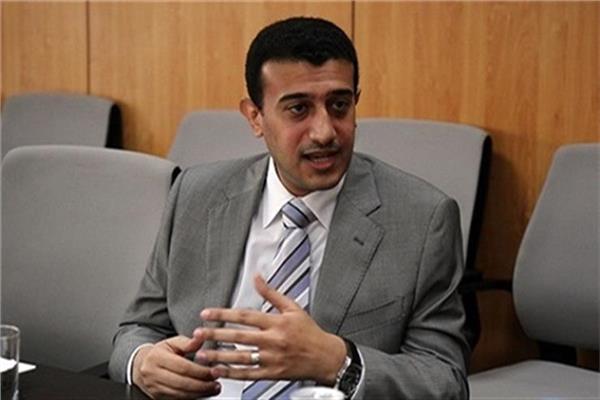  النائب طارق الخولي