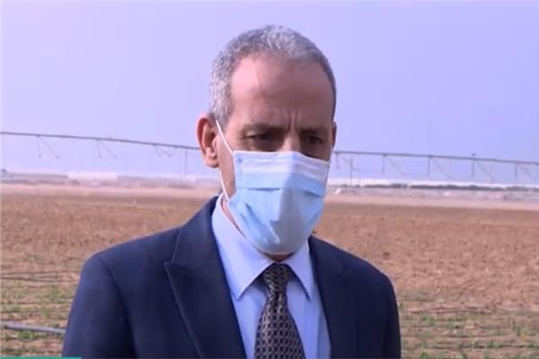 الدكتور السعيد حماد