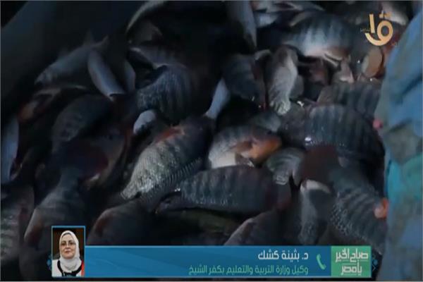 صورة من البرنامج
