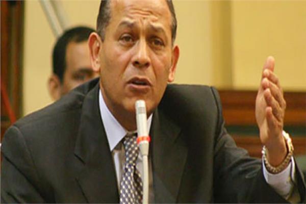 محمد أنور السادات، رئيس حزب الإصلاح والتنمية