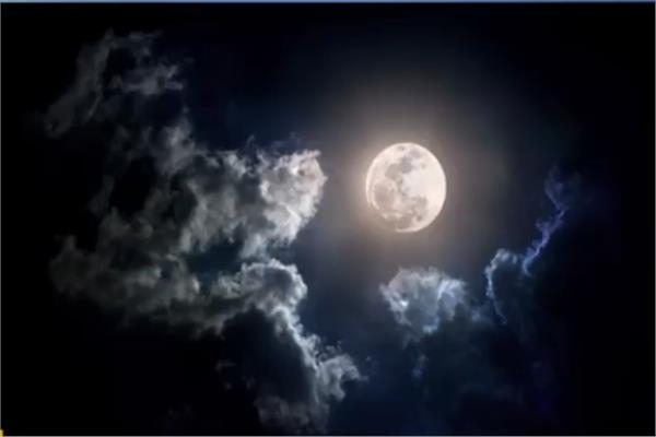 صورة من البرنامج