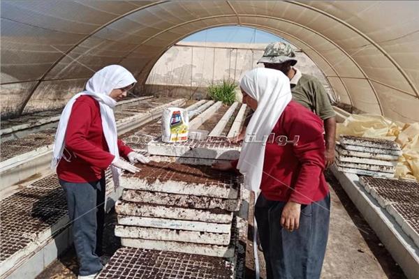 تدريب الطلاب بمدرسة الزراعات المطرية 