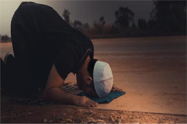 صورة موضوعية