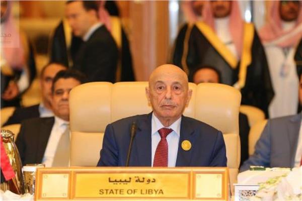  رئيس مجلس النواب المستشار عقيلة صالح 