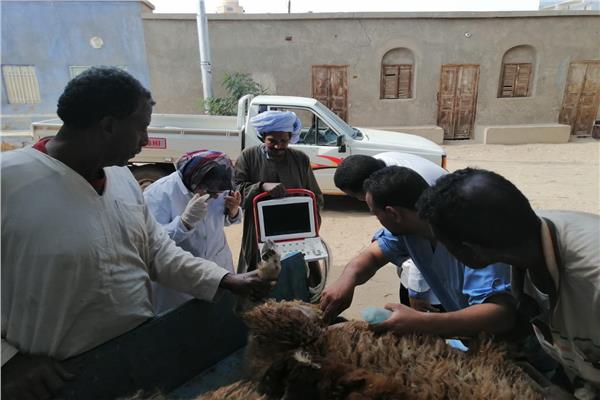  مركز مدينة نصر النوبة
