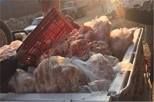 صورة موضوعية