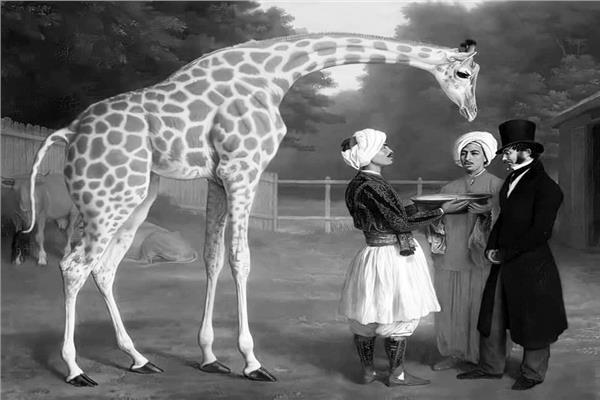 مندوب الوالى يسلم الزرافة لمندوب الملك شارل العاشر