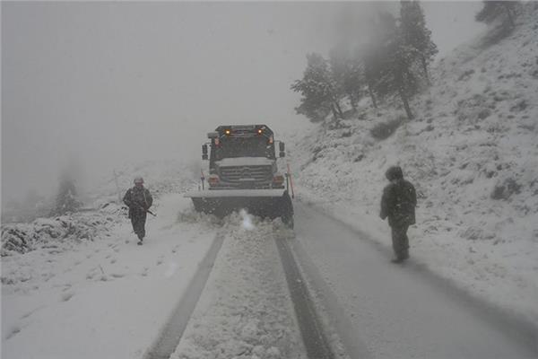 صورة أرشيفية