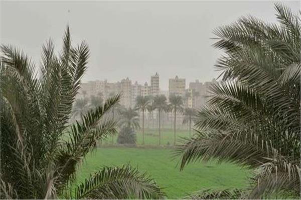 المحاصيل الزراعية والطقس السيئ