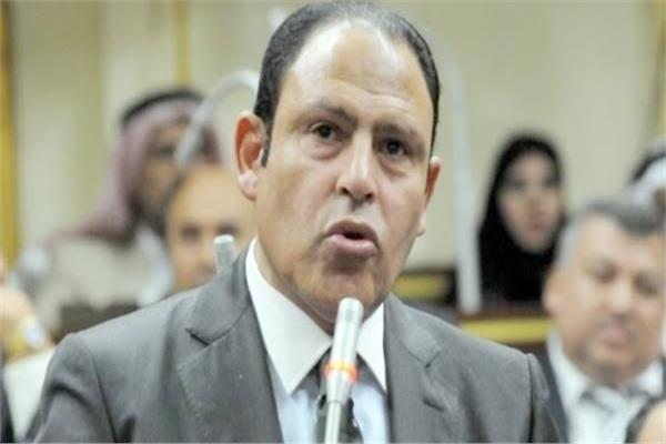 رياض عبد الستار، عضو مجلس النواب