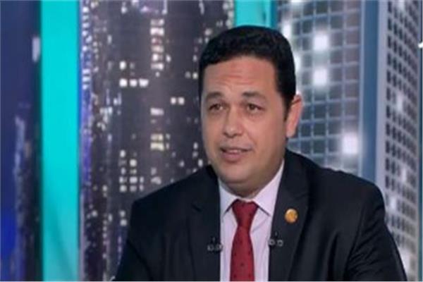 المهندس أيسم صلاح الدين، مستشار وزارة الصحة والسكان