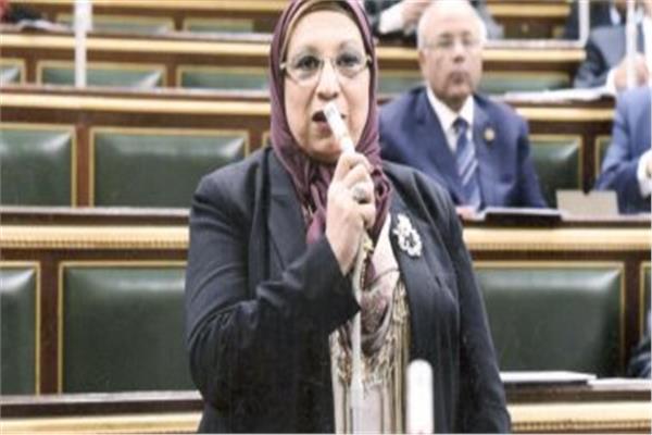 النائبة أيناس عبد الحليم عضو مجلس النواب