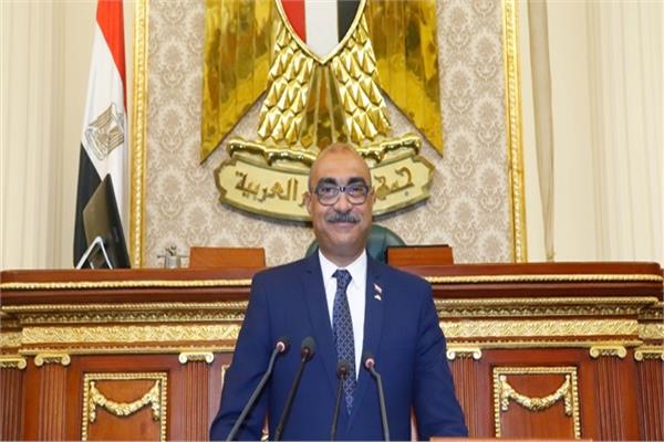  رئيس الهيئة البرلمانية للحزب المصرى الديمقراطى
