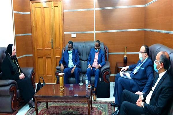 جانب من جلسة المباحثات بين الجانبين المصري والسوداني