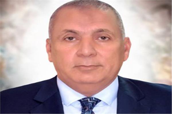 محافظ الوادي الجديد
