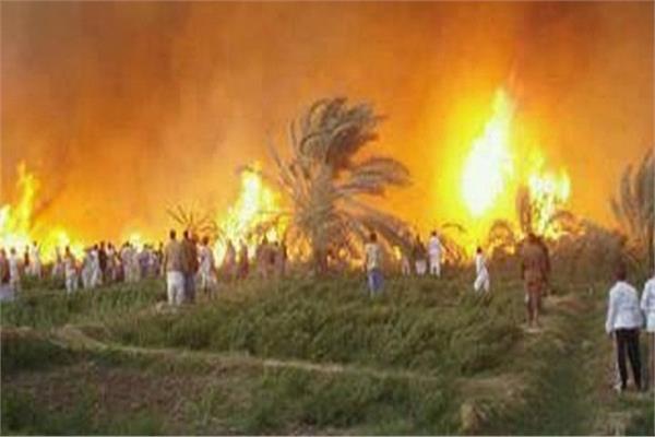 صورة موضوعية