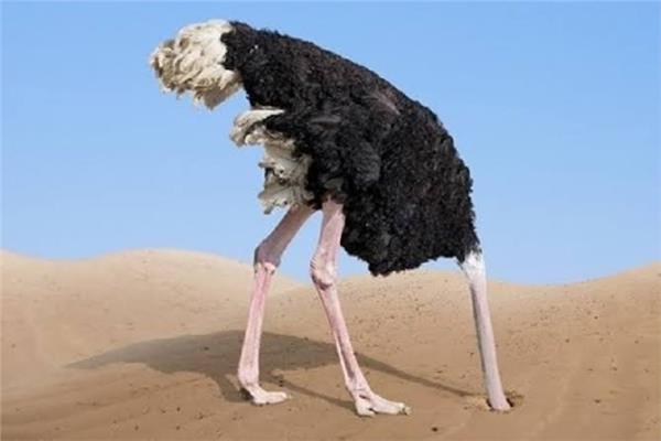 صورة موضوعية