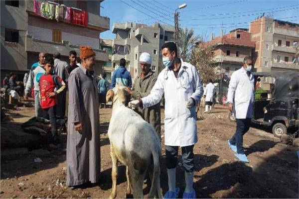 قافلة بيطرية بقرية بالشرقية