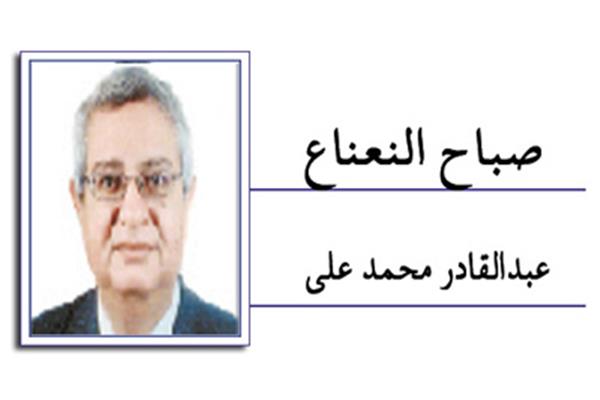 عبدالقادر محمد على