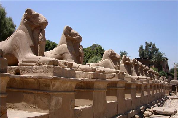 طريق الكباش