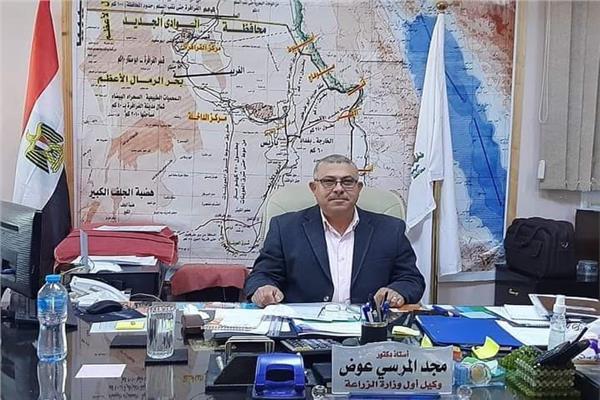  الدكتور مجد المرسي