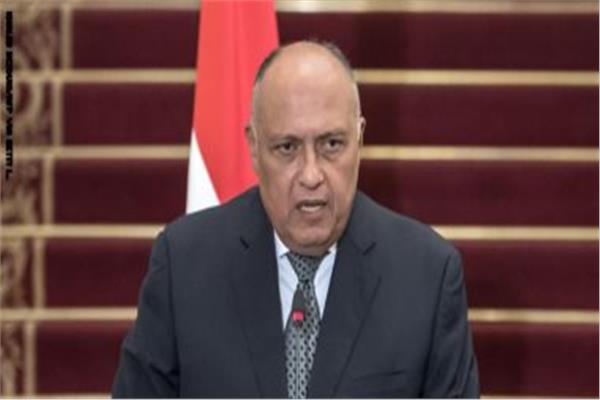 وزير الخارجية سامح شكري