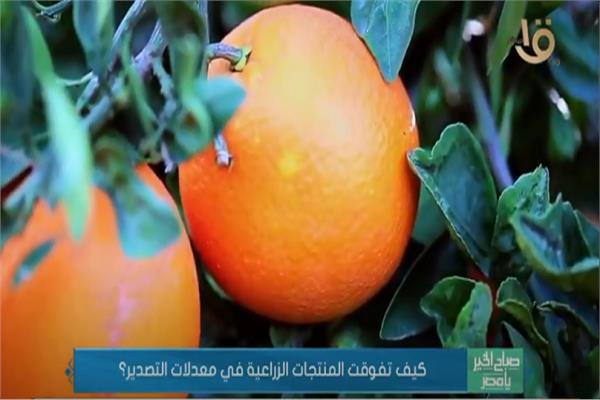 صورة من البرنامج