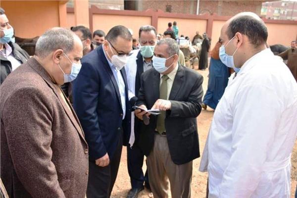 تحصين ٤٨٥ ألف رأس ماشية وأغنام بالشرقية 