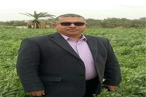 مجدي المرسي