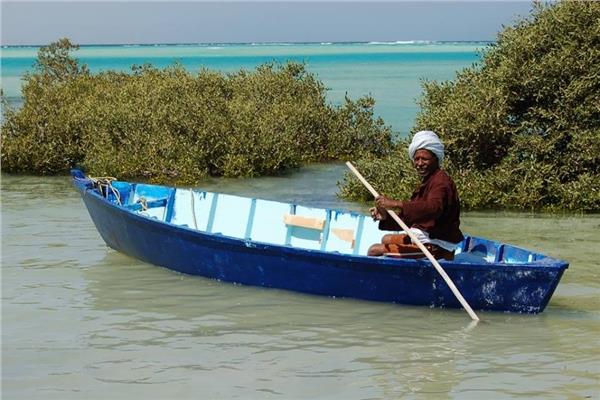 سياحة الكامب ملاذ محبي الطبيعة في البحر الاحمر