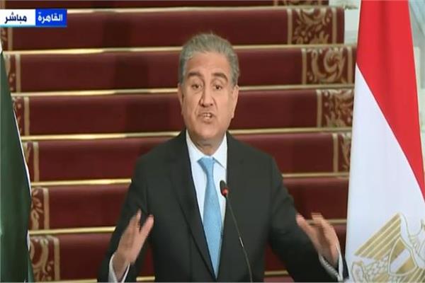 مخدوم شاه قريشى، وزير خارجية باكستان