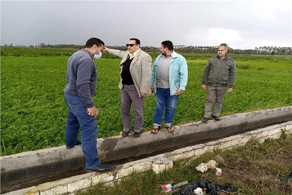 زراعة دمياط