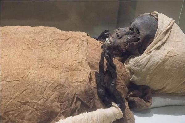 مومياء الفرعون المصري "سقنن رع تاعا"
