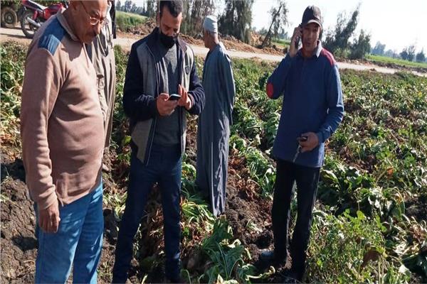  إفتتاح موسم حصاد بنجر السكر بمركز شبراخيت بالبحيرة