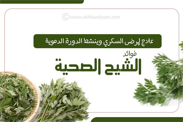 إنفوجراف | علاج لمرضى السكري وينشط الدورة الدموية.. فوائد «الشيح» الصحية